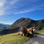 Controverse over het budgetvoorstel voor het landelijke gebied in Asturias