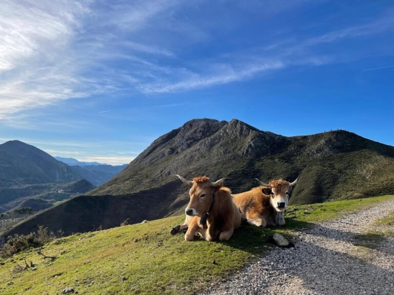 Controverse over het budgetvoorstel voor het landelijke gebied in Asturias