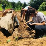 De betrokkenheid van jonge mensen in Euskadi bij vrijwilligerswerk en hun impact op de samenleving