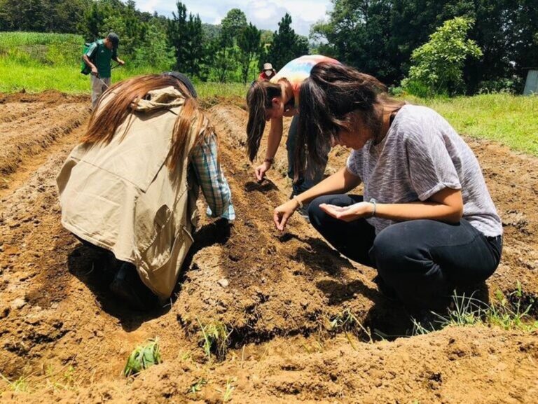 De betrokkenheid van jonge mensen in Euskadi bij vrijwilligerswerk en hun impact op de samenleving