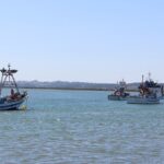 De toegenomen zorgen over de toekomst van de Andalusische visserij: wat staat er op het spel?