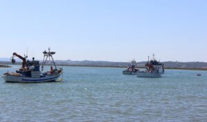 De toegenomen zorgen over de toekomst van de Andalusische visserij: wat staat er op het spel?