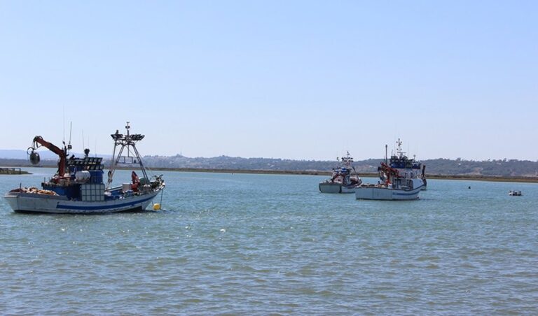 De toegenomen zorgen over de toekomst van de Andalusische visserij: wat staat er op het spel?