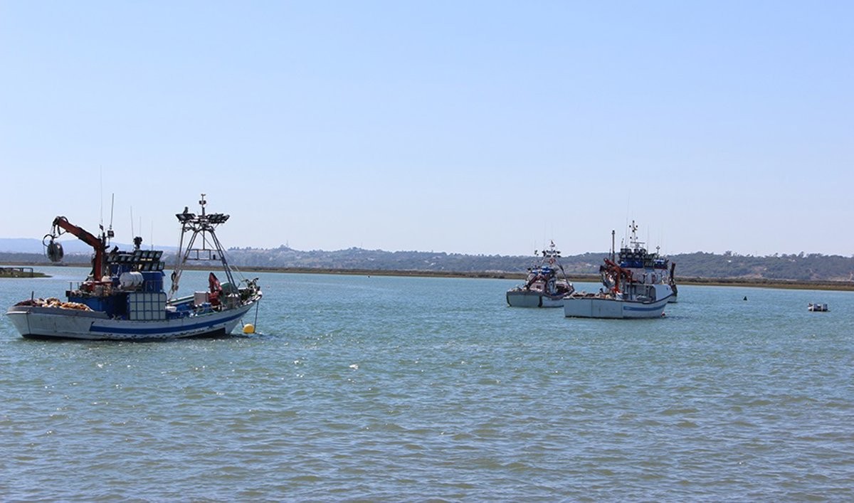 De toegenomen zorgen over de toekomst van de Andalusische visserij: wat staat er op het spel?