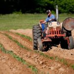 Herziening van het Europese landbouwbeleid: minder bureaucratie, meer steun voor kleine boeren