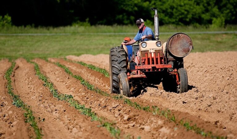 Herziening van het Europese landbouwbeleid: minder bureaucratie, meer steun voor kleine boeren