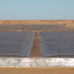 Het conflict rondom de landbouwproductie in Dakhla en de impact van EU-Moroccan overeenkomsten