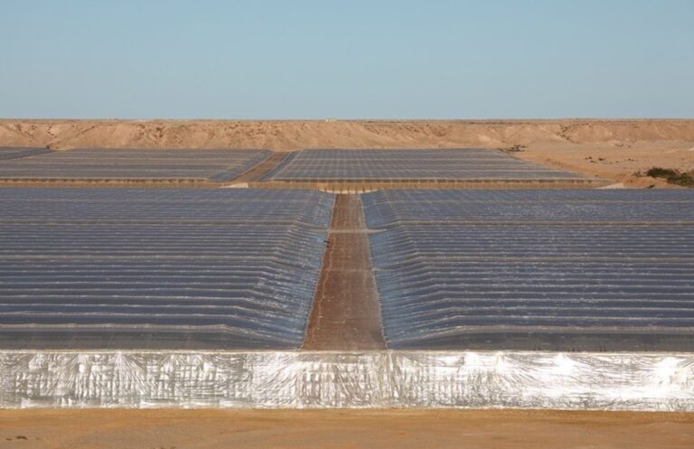 Het conflict rondom de landbouwproductie in Dakhla en de impact van EU-Moroccan overeenkomsten