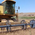 Hoe de landbouwsector in Aragón wordt ondersteund door EU-subsidies