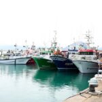 Hoe Europa's Visquotum de Spaanse visserij beïnvloedt: een diepgaande analyse