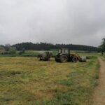 Overheidssteun voor de Landbouwsector in Asturië: Een Diepgaande Analyse van de Subsidie-uitkeringen voor 2025