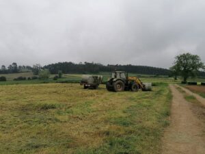 Overheidssteun voor de Landbouwsector in Asturië: Een Diepgaande Analyse van de Subsidie-uitkeringen voor 2025