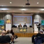 Regionale huisvestingstrategie: succesvolle programma's voor kwetsbare gezinnen