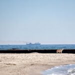 Cel: Een dodelijk incident en nieuwe aanvallen op schepen in de Zwarte Zee
