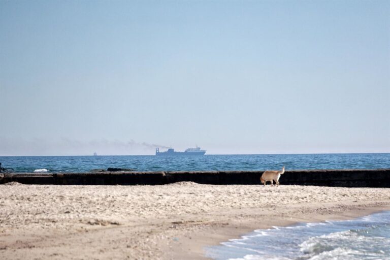 Cel: Een dodelijk incident en nieuwe aanvallen op schepen in de Zwarte Zee